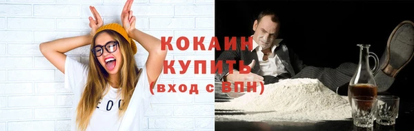 ГАЛЛЮЦИНОГЕННЫЕ ГРИБЫ Гусь-Хрустальный