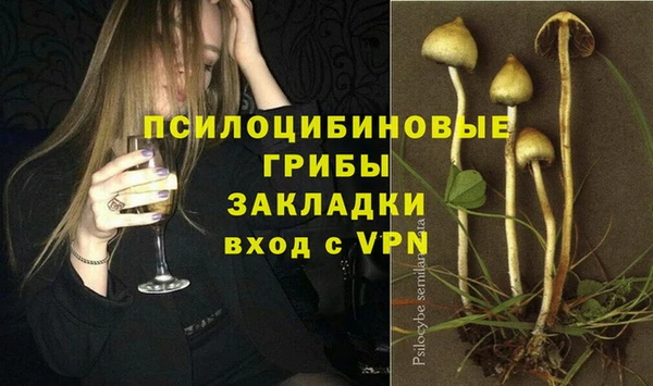 первитин Гусев