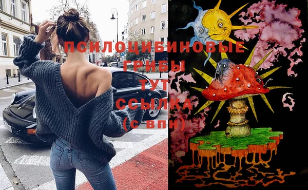 дживик Горно-Алтайск