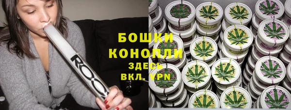 ГАЛЛЮЦИНОГЕННЫЕ ГРИБЫ Гусь-Хрустальный